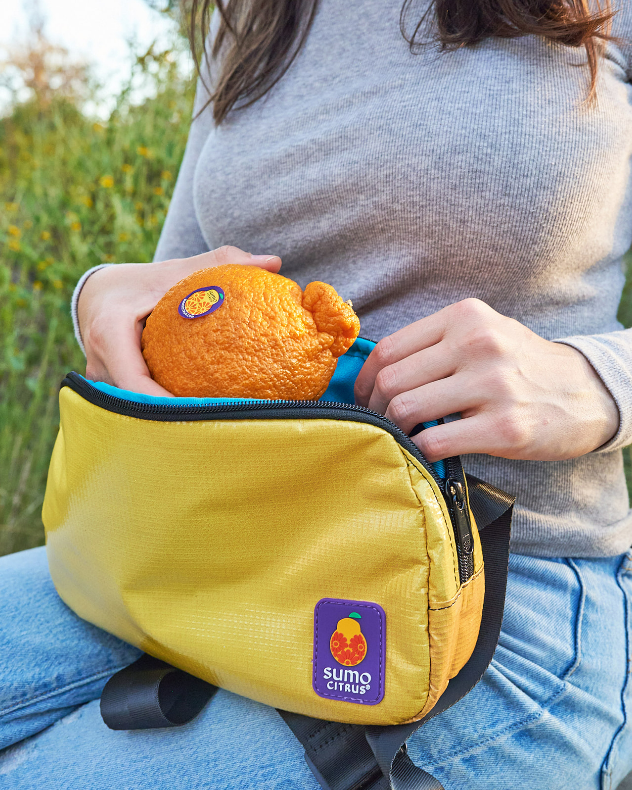 The Sumo Citrus Sling Bag