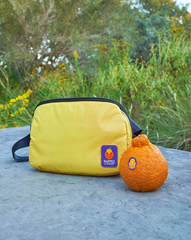 The Sumo Citrus Sling Bag