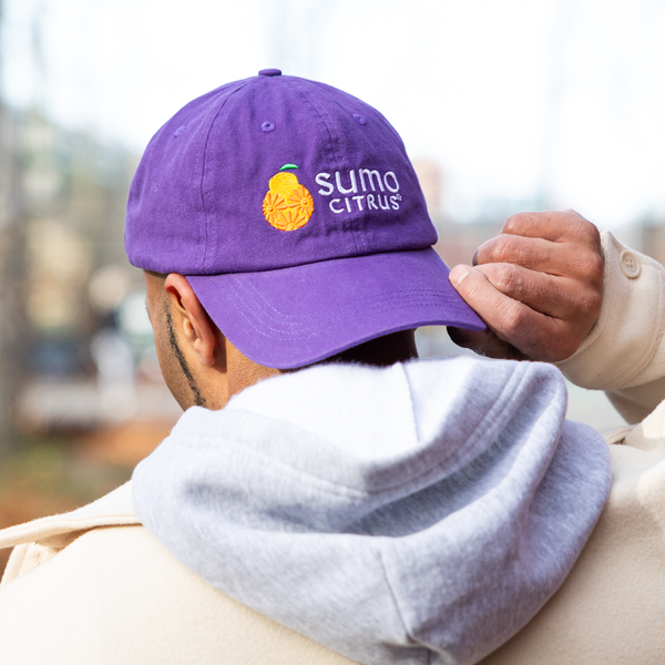 帽子 sumomo 25SC_MerchStore_BallCap_01_gra